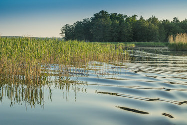 Similar image 11477495