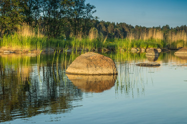 Similar image 11477496