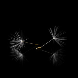 Similar image 11480875