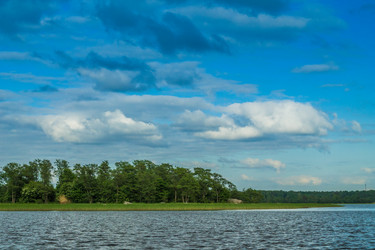 Similar image 11477499