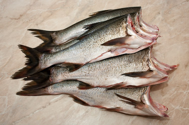 Similar image 11474893