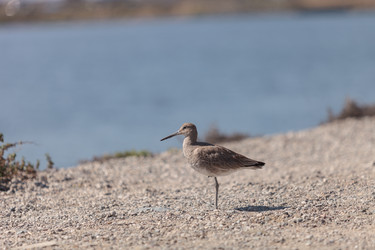 Similar image 11477714