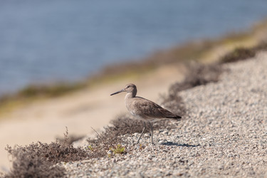 Similar image 11477716