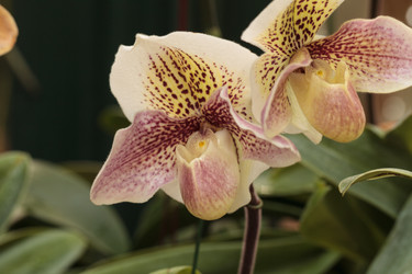 Similar image 11477718