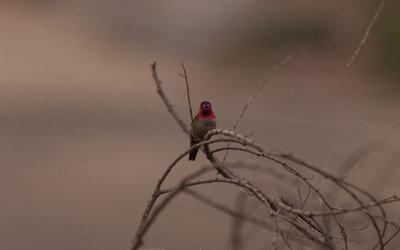 Similar image 11477737