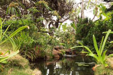 Similar image 11477745