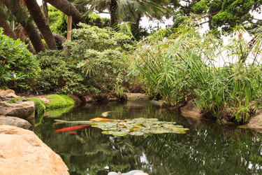 Similar image 11477602