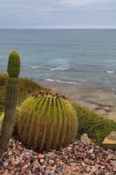 Similar image 11477604