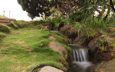 Similar image 11477608