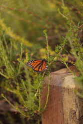 Similar image 11477673