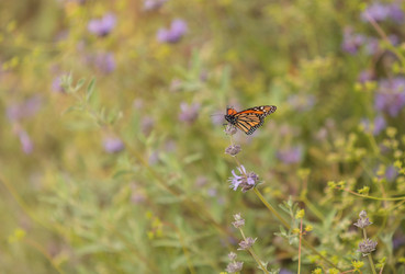 Similar image 11477674