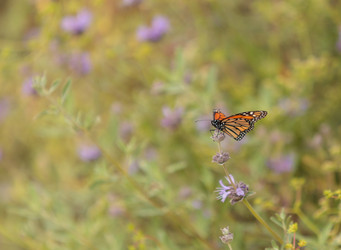 Similar image 11477675