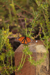 Similar image 11477687