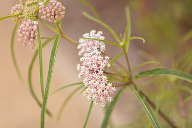 Similar image 11477699