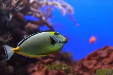 Similar image 11477700