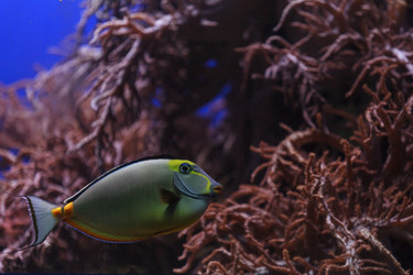 Similar image 11477701