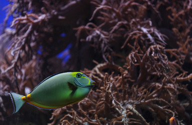 Similar image 11477709