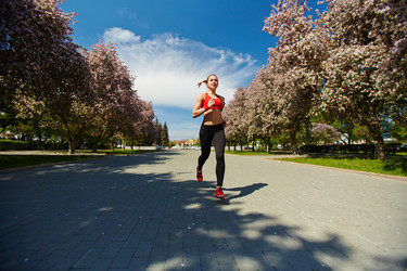 Similar image 11475110