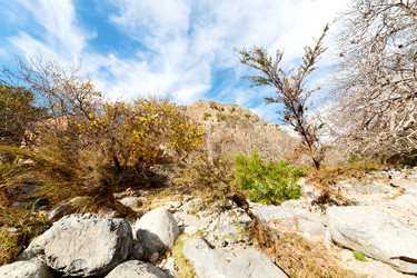 Similar image 11477170