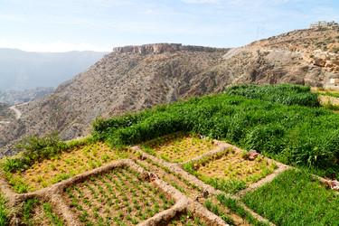 Similar image 11477655