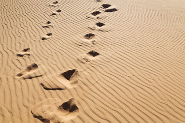 Similar image 11477136