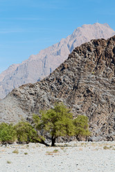 Similar image 11477658