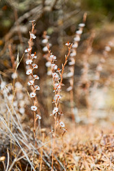 Similar image 11477145