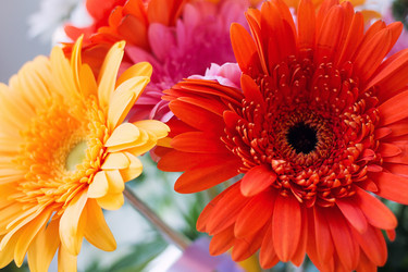 Similar image 11476500