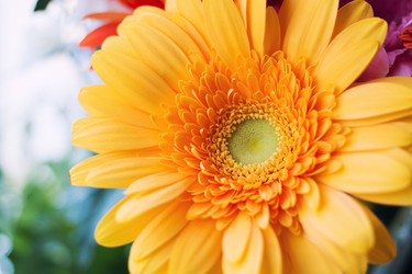 Similar image 11476501