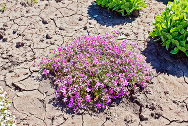 Similar image 11477016