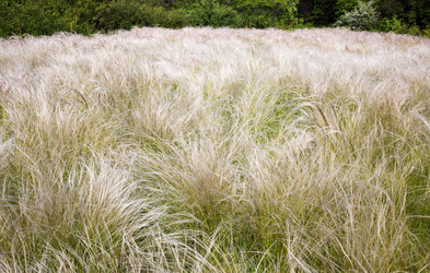 Similar image 11477017