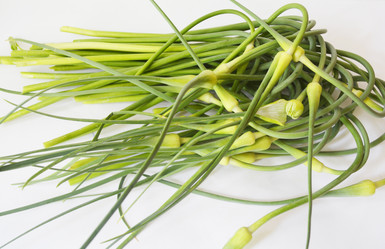 Similar image 11477416