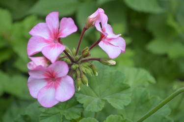 Similar image 11477417