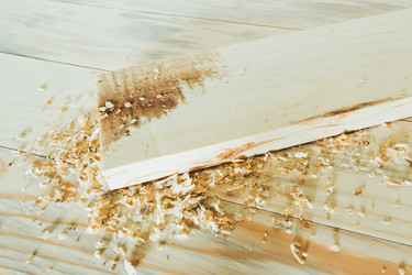 Similar image 11481812