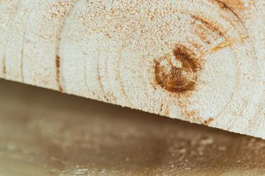 Similar image 11481819