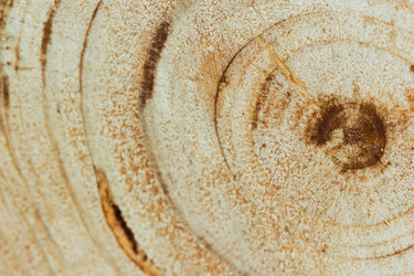 Similar image 11481821