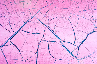 Similar image 11477052