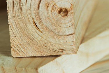 Similar image 11481822