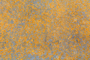 Similar image 11477074