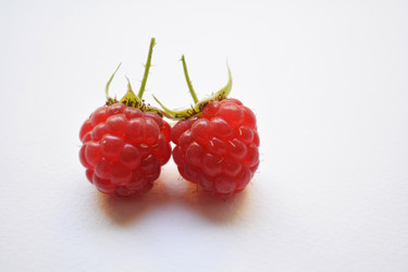 Similar image 11477419