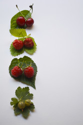 Similar image 11477420