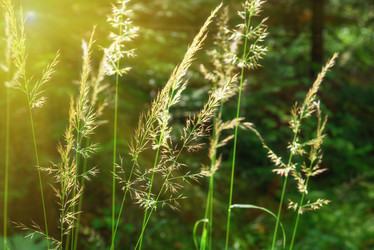 Similar image 11494230