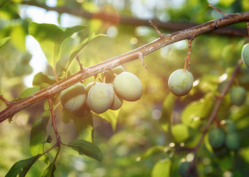 Similar image 11494233