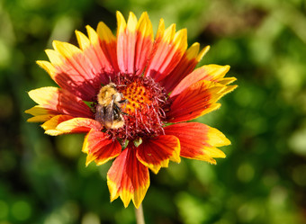 Similar image 11494253