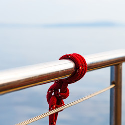 Similar image 11488673