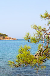 Similar image 11488678