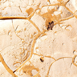 Similar image 11488681