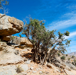 Similar image 11479925