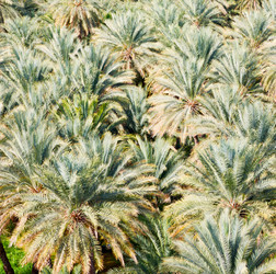 Similar image 11479926