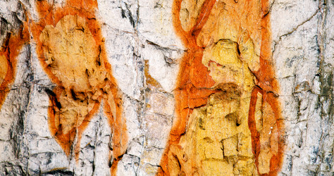 Similar image 11479912